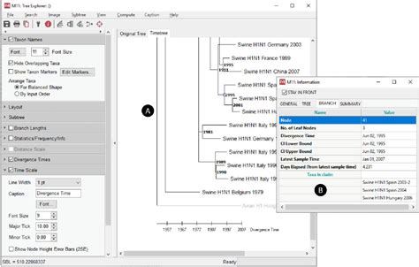 mega molecular evolutionary genetics analysis|mega11 molecular evolutionary genetics analysis version 11.